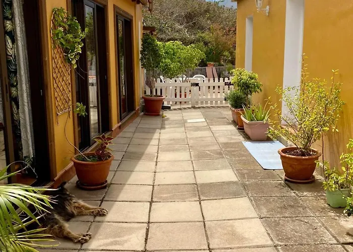 Pura Vida Tenerife